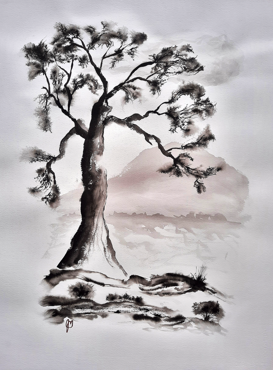 La voix de l'arbre 5 - 296 - Jules Morissette