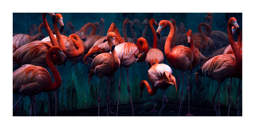 Drowned in the mass - Tzara (1/3)