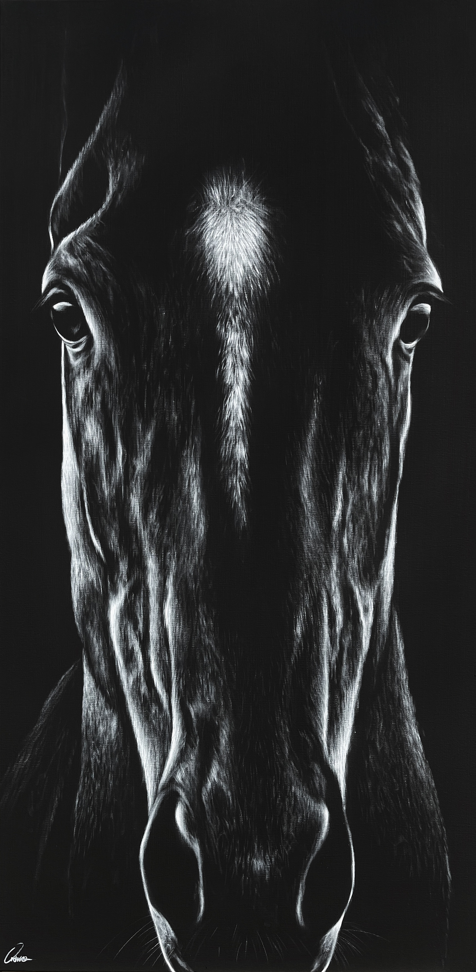 Arthur - ONNO